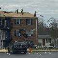 Throwing caution to the wind - Photo by Dave Carey, Northeastern Illinois Chapter